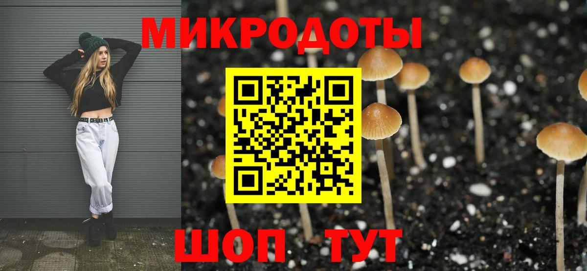 Галлюциногенные грибы MAGIC MUSHROOMS  Вход с VPN  Карачаевск 